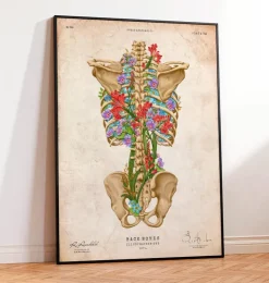 Squelette du dos - Floral - Vintage-Codex Anatomicus Best