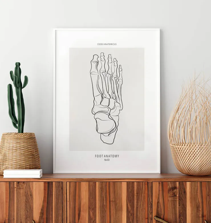 Squelette du pied - Line Art-Codex Anatomicus Hot