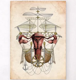 Steampunk utérus-Codex Anatomicus Hot