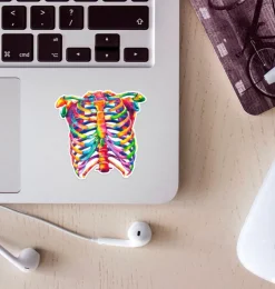 Sticker d'anatomie cage thoracique - Aquarelle-Codex Anatomicus New