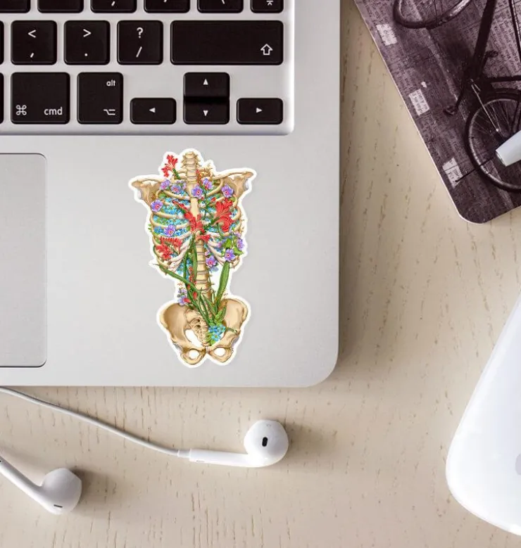 Sticker d'anatomie cage thoracique III - Floral-Codex Anatomicus Clearance