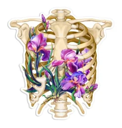 Sticker d'anatomie cage thoracique - Floral-Codex Anatomicus Outlet