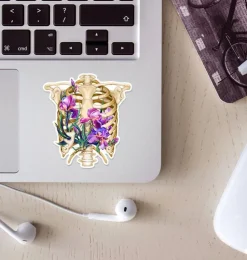 Sticker d'anatomie cage thoracique - Floral-Codex Anatomicus Outlet