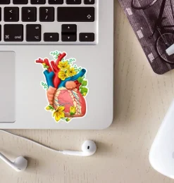 Sticker d'anatomie cardiaque II - Floral-Codex Anatomicus