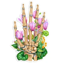 Sticker d'anatomie de la colonne vertébrale - Floral-Codex Anatomicus Clearance