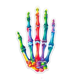 Sticker d'anatomie de la main - Aquarelle-Codex Anatomicus Discount