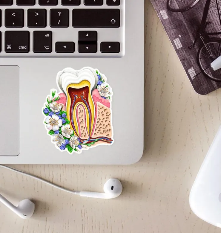 Sticker d'anatomie de la mâchoire - Floral-Codex Anatomicus Online