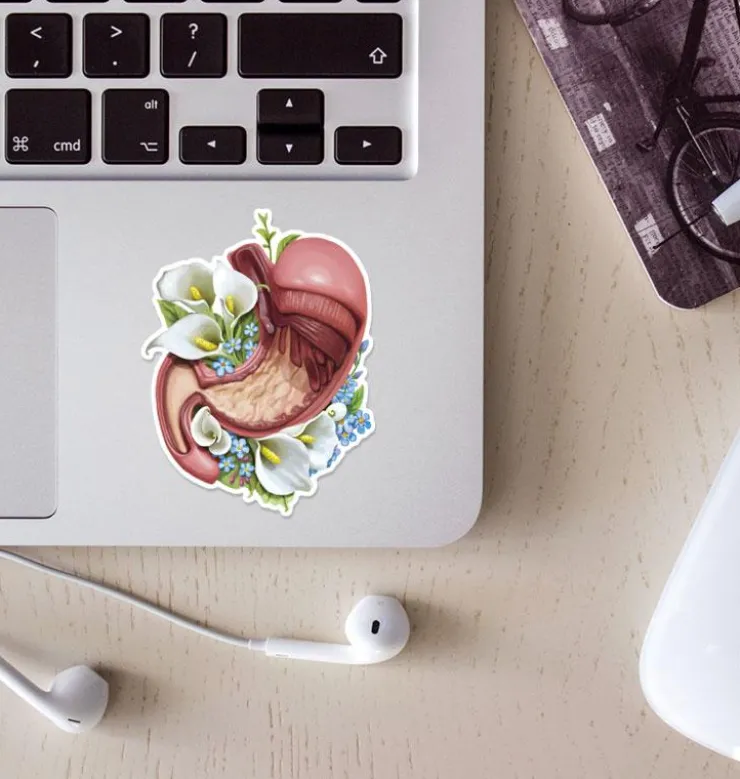 Sticker d'anatomie de l'estomac - Floral-Codex Anatomicus Best