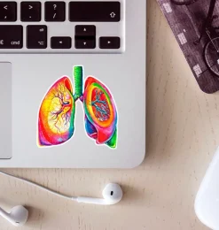 Sticker d'anatomie des poumons - Aquarelle-Codex Anatomicus Clearance