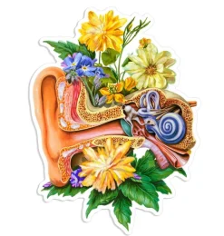 Sticker d'anatomie d'oreille - Floral-Codex Anatomicus