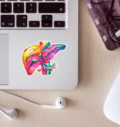 Sticker d'anatomie du foie - Aquarelle-Codex Anatomicus Hot