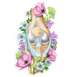 Sticker d'anatomie du genou - Floral-Codex Anatomicus Best
