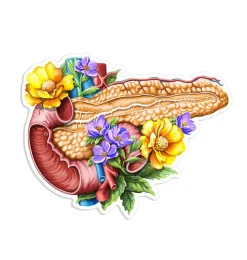 Sticker d'anatomie du pancréas - Floral-Codex Anatomicus New
