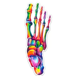 Sticker d'anatomie du pied - Aquarelle-Codex Anatomicus
