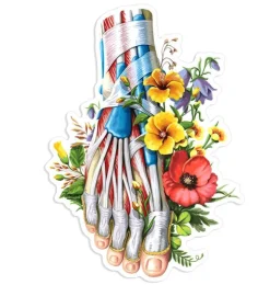 Sticker d'anatomie du pied - Floral-Codex Anatomicus Best