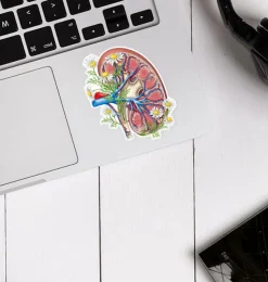 Sticker d'anatomie du rein II - Floral-Codex Anatomicus Outlet