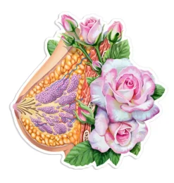 Sticker d'anatomie mammaire - Floral-Codex Anatomicus Clearance