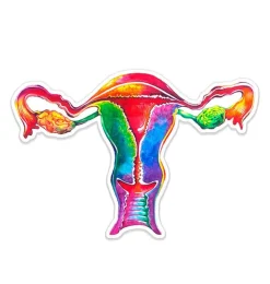Sticker d'anatomie utérine - Aquarelle-Codex Anatomicus