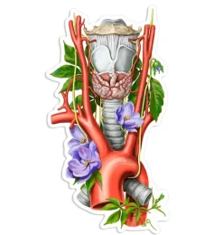 Sticker larynx, aorte, d'anatomie thyroïdienne - Floral-Codex Anatomicus Hot