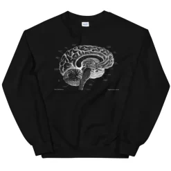Sweat Unisexe Cerveau I - Chalkboard-Codex Anatomicus Sale