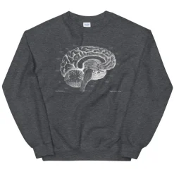 Sweat Unisexe Cerveau I - Chalkboard-Codex Anatomicus Sale