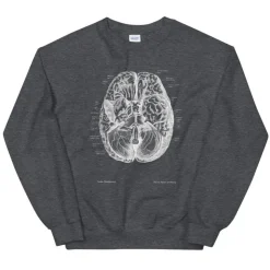 Sweat Unisexe Cerveau II - Chalkboard-Codex Anatomicus Discount