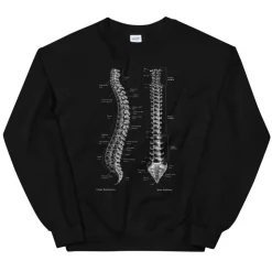 Sweat Unisexe Colonne Vertébrale - Chalkboard-Codex Anatomicus