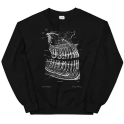 Sweat Unisexe Dentaire - Chalkboard-Codex Anatomicus Discount