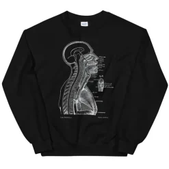 Sweat Unisexe Section de Tête II - Chalkboard-Codex Anatomicus