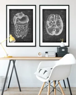 Système digestif - Chalkboard-Codex Anatomicus Discount