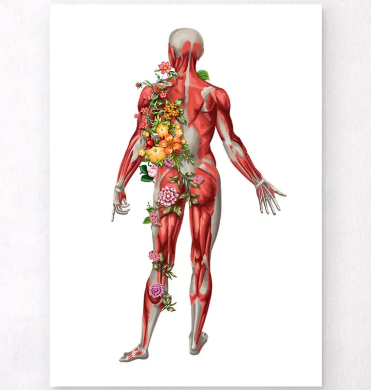 Système musculaire, vue arrière - Floral - Blanc-Codex Anatomicus Discount