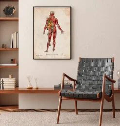 Système musculaire, vue arrière - Floral - Vintage-Codex Anatomicus Clearance