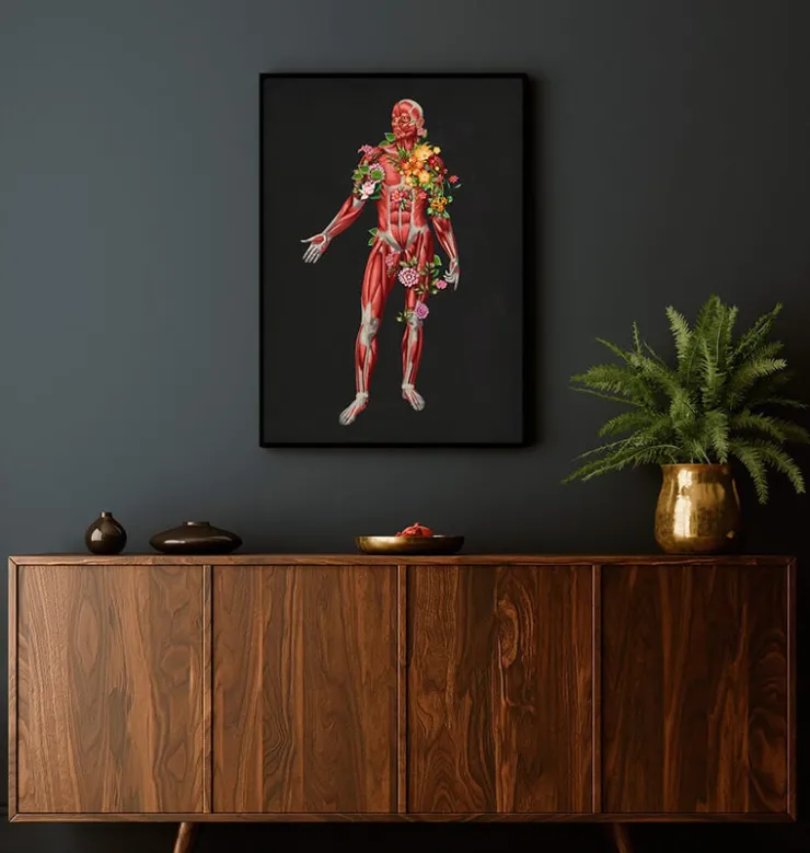 Système musculaire, vue de face - Floral - Noir-Codex Anatomicus Hot