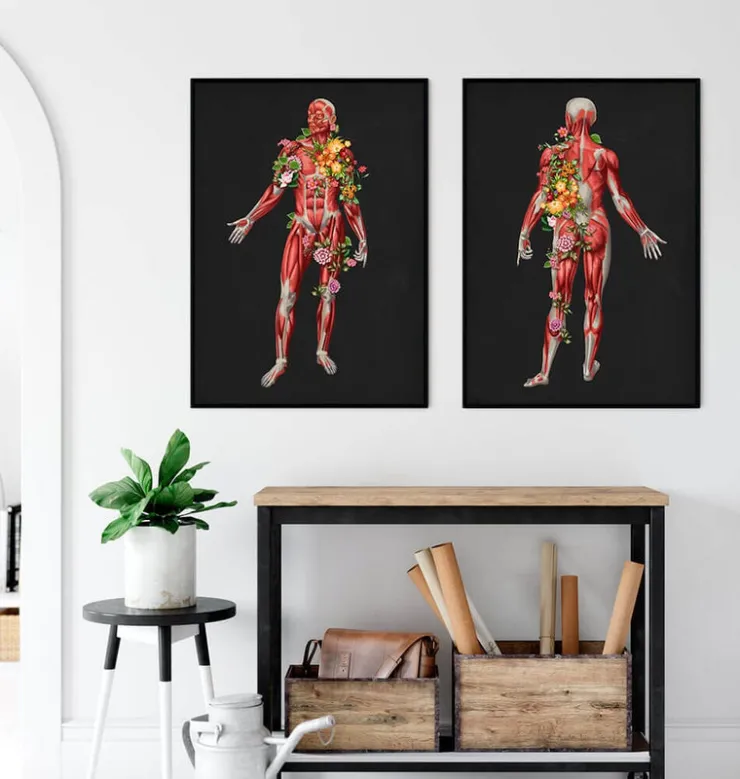 Système musculaire, vue de face - Floral - Noir-Codex Anatomicus Hot