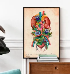 Système urinaire - Floral - Vintage-Codex Anatomicus Online