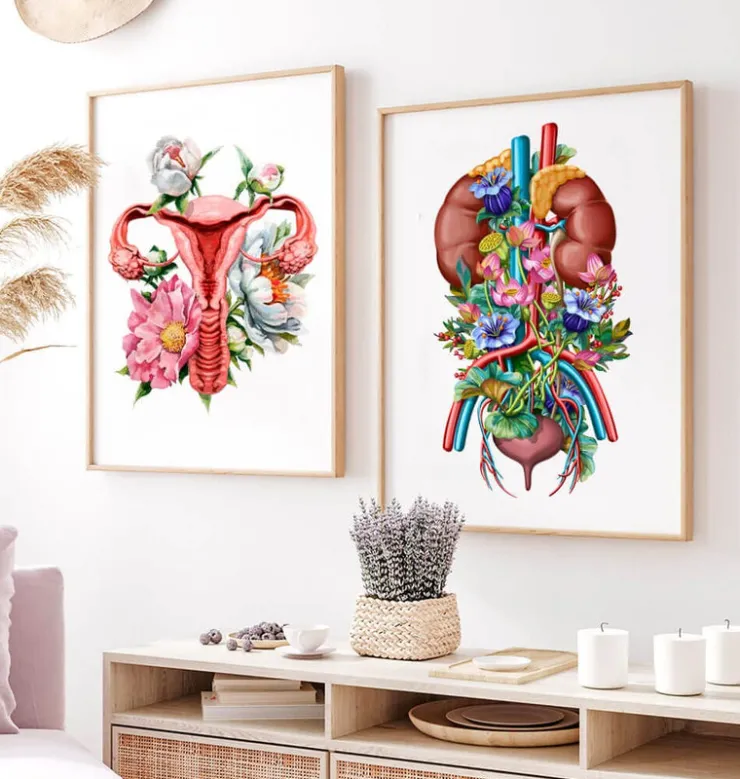 Système urinaire - Floral - Blanc-Codex Anatomicus