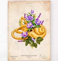 Système vestibulaire - Floral - Vintage-Codex Anatomicus Discount