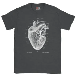 T-shirt Unisexe Coeur - Chalkboard-Codex Anatomicus Hot