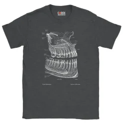 T-shirt Unisexe Dentaire - Chalkboard-Codex Anatomicus New