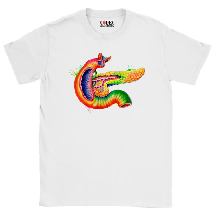 T-shirt Unisexe Pancréas - Aquarelle-Codex Anatomicus