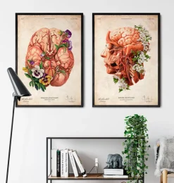 Tête, cerveau et artères - Floral - Vieux papier-Codex Anatomicus Discount
