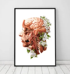 Tête, cerveau et artères - Floral - Blanc-Codex Anatomicus