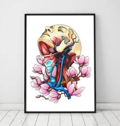 Tête, cou et artères - Anatomie florale-Codex Anatomicus