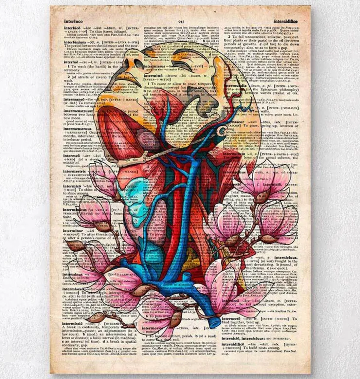 Tête, cou et artères - Page du dictionnaire-Codex Anatomicus Clearance