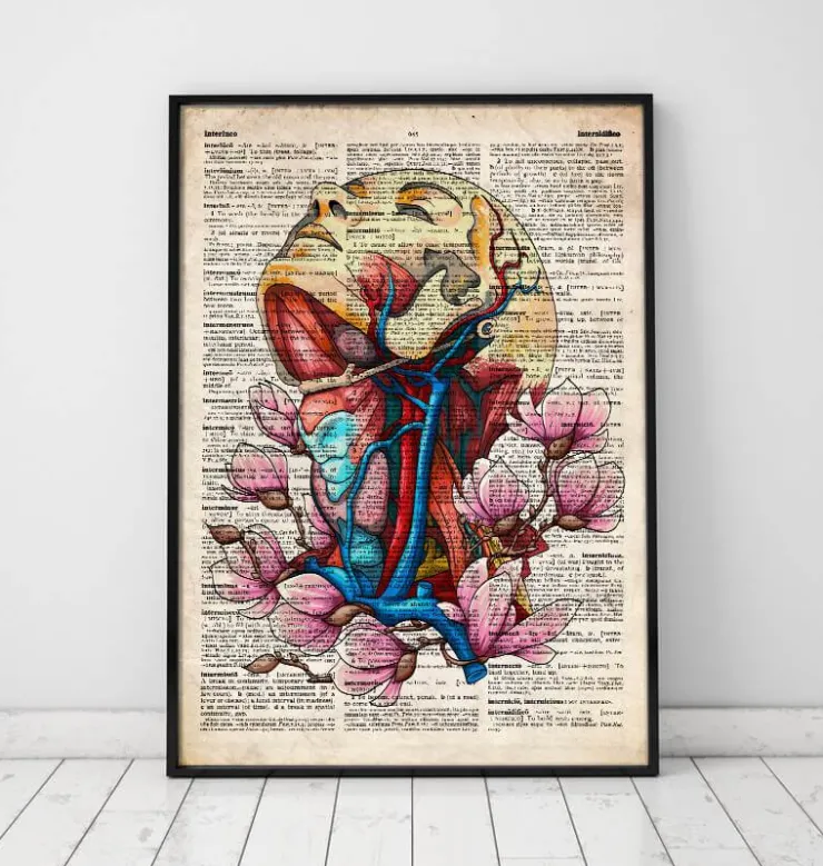 Tête, cou et artères - Page du dictionnaire-Codex Anatomicus Clearance