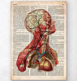 Tête géométrique II - Dictionnaire-Codex Anatomicus Discount