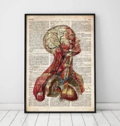 Tête géométrique II - Dictionnaire-Codex Anatomicus Discount