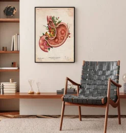 Ulcère gastrique - Floral - Vieux Papier-Codex Anatomicus Online
