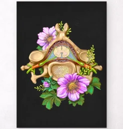 Vertèbre cervicale - Floral - Noir-Codex Anatomicus Outlet