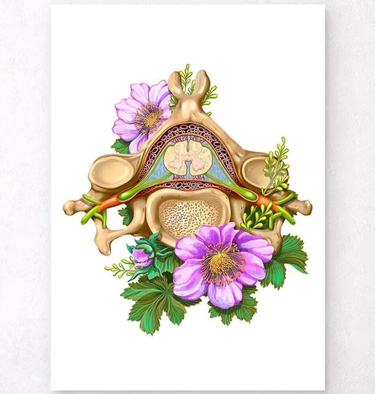 Vertèbre cervicale - Floral - Blanc-Codex Anatomicus Clearance
